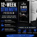 12 week PPL Training Program
